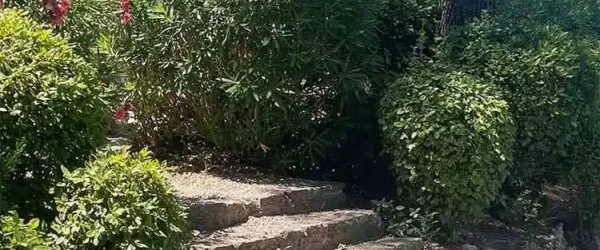 Massage au Domaine du pin de la Lègue Fréjus, été 2025